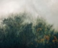 Fototapeta Tales of the Carpathians PSH036-VD3