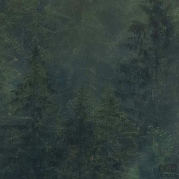 Fototapeta Tales of the Carpathians PSH036-VD3