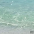 Fototapeta Azur Ocean PSH097-VD4