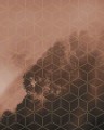 Fototapeta Golden Grid PSH099-VD2