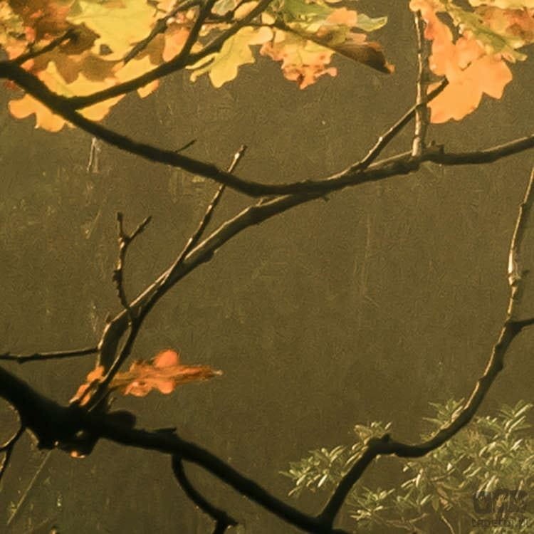 Fototapeta Devil's Bridge SH037-VD4