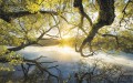 Fototapeta Golden Embrace SH080-VD4
