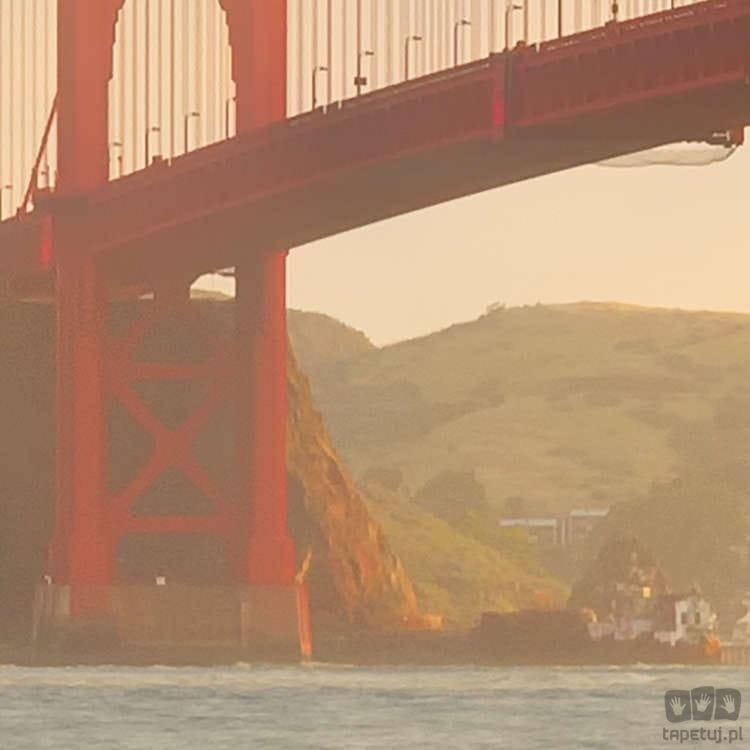 Fototapeta Golden Gate SH048-VD4