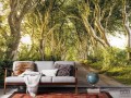 Fototapeta Golden Hedges SH057-VD4