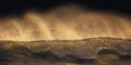 Fototapeta Golden Wave SH006-VD1