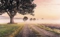 Fototapeta Misty Morning SH068-VD4
