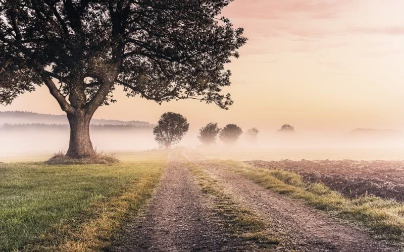 Fototapeta Misty Morning SH068-VD4