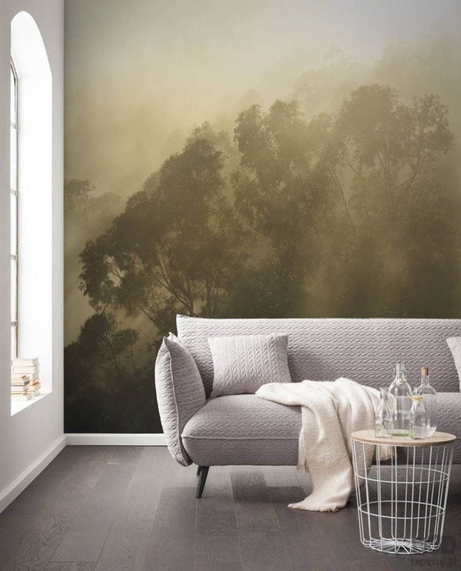 Fototapeta Misty Mountain SH067-VD4