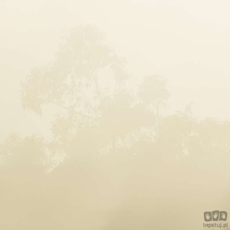 Fototapeta Misty Mountain SH067-VD4