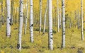 Fototapeta Orange Forest SH069-VD4
