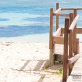 Fototapeta Palmy Beach SH088-VD3