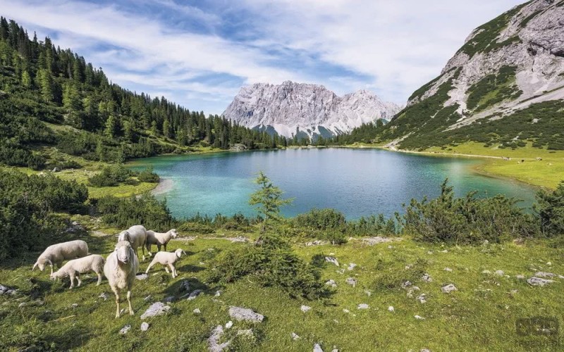 Fototapeta Paradise Lake SH070-VD4