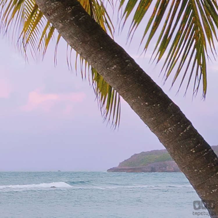 Fototapeta Paradise Morning SH086-VD4