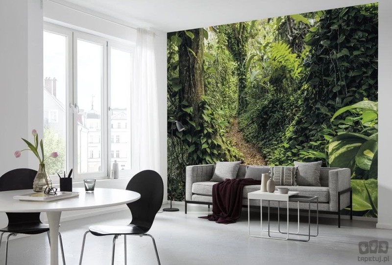Fototapeta zielona dżungla w Gwadelupie