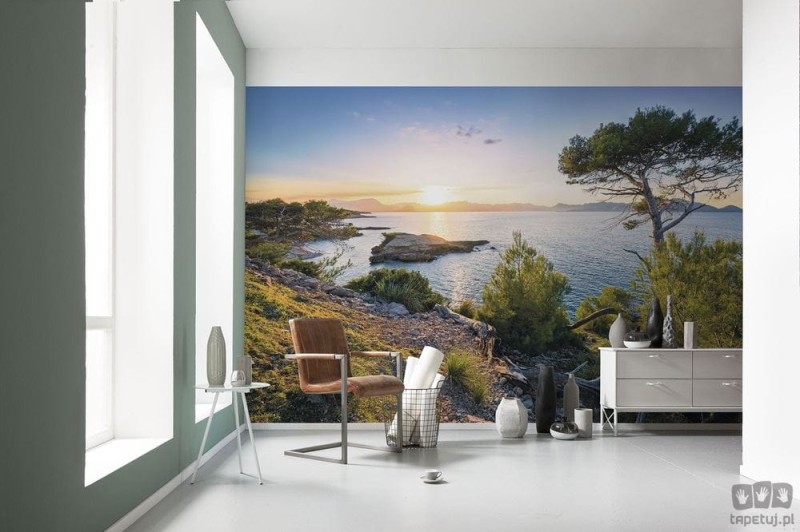 Fototapeta plaża Playa S'illot