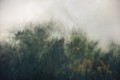 Fototapeta Tales of the Carpathians SH036-VD3