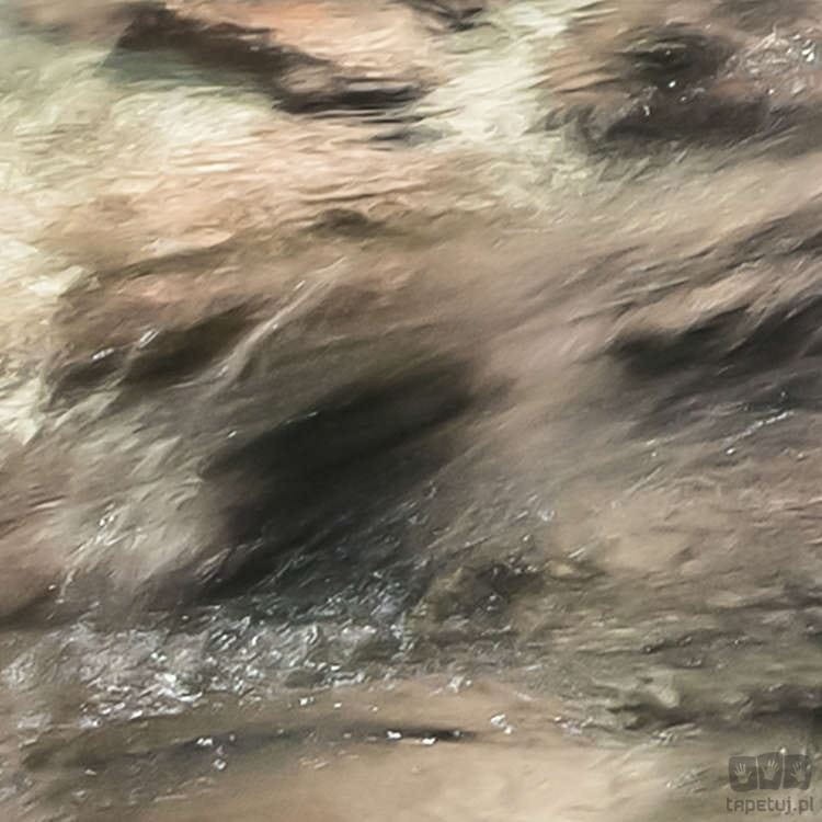 Fototapeta Tranquil Pool SH079-VD4
