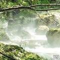 Fototapeta Tranquil Pool SH079-VD4