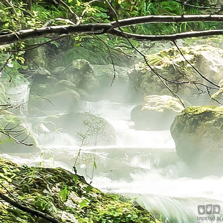 Fototapeta Tranquil Pool SH079-VD4