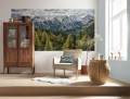 Fototapeta Wild Dolomites SH009-VD1
