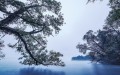 Fototapeta Blue Waters SH082-VD4