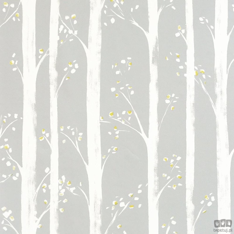 Studio Collection 909504 tapeta ścienna Arthouse