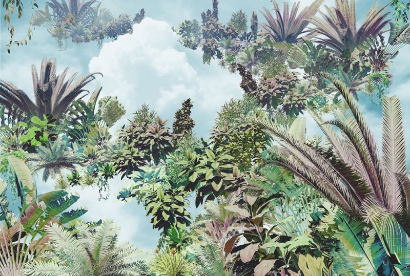 Fototapeta Tropical Heaven XXL4-1025