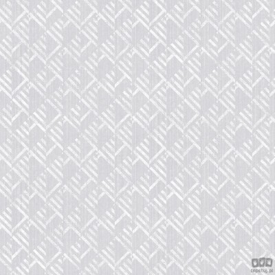 TexStyle G56580 tapeta ścienna Galerie