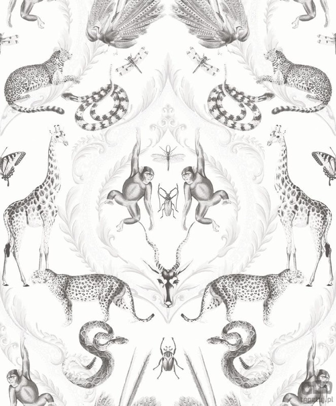 Bazaar G78314 tapeta ścienna Galerie