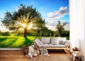 Fototapeta Drzewo i piękny krajobraz