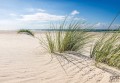 Fototapeta Piaszczysta plaża
