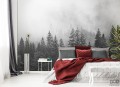 Fototapeta Las we mgle (czarno-biały)