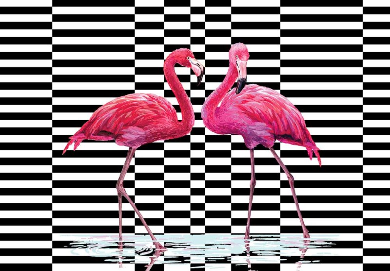 Fototapeta Flamingi