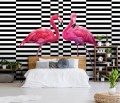 Fototapeta Flamingi