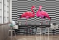 Fototapeta Flamingi