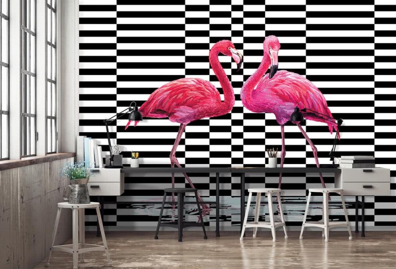 Fototapeta Flamingi