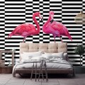 Fototapeta Flamingi