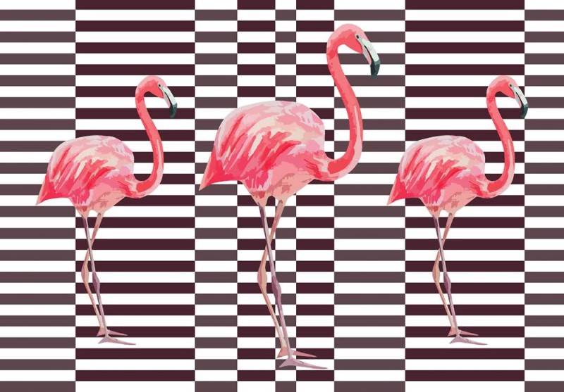 Fototapeta Flamingi