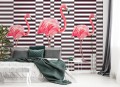 Fototapeta Flamingi