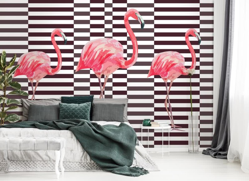 Fototapeta Flamingi