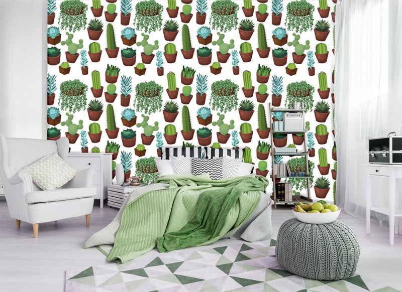 Fototapeta Kaktusy