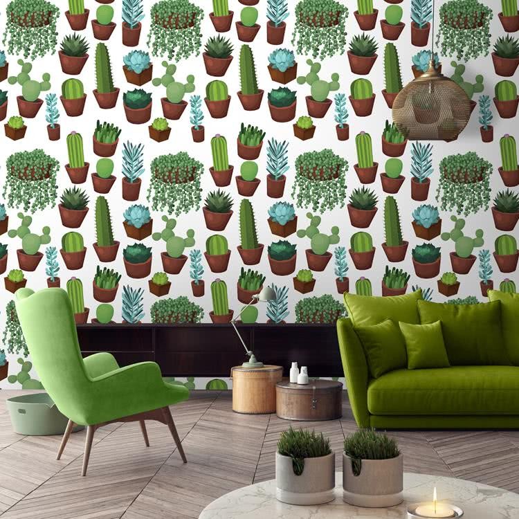 Fototapeta Kaktusy