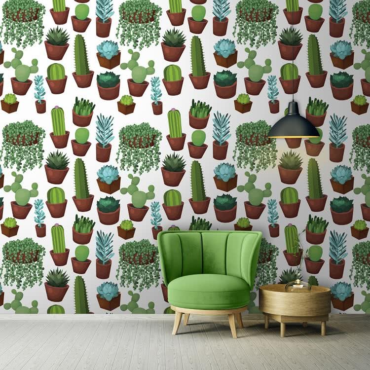 Fototapeta Kaktusy
