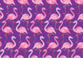 Fototapeta Flamingi