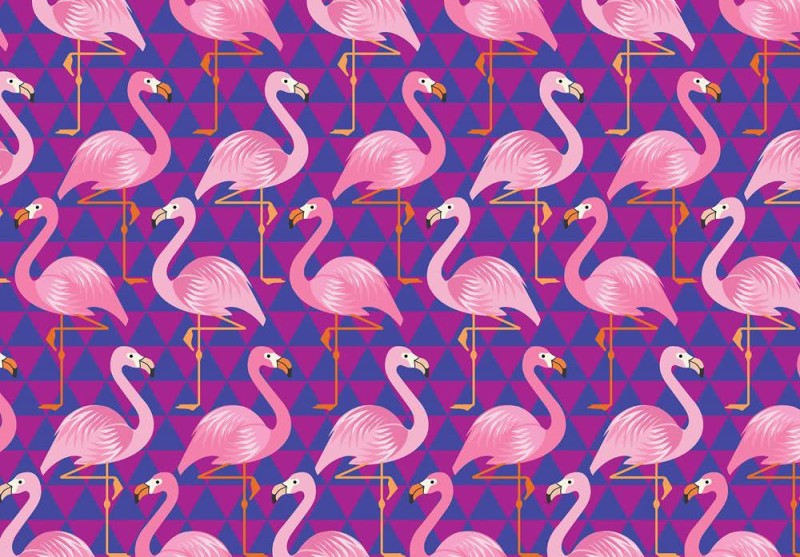 Fototapeta Flamingi