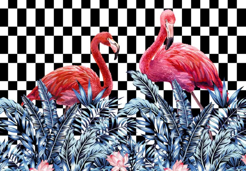 Fototapeta Flamingi