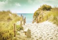 Fototapeta Plaża