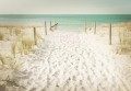 Fototapeta Plaża