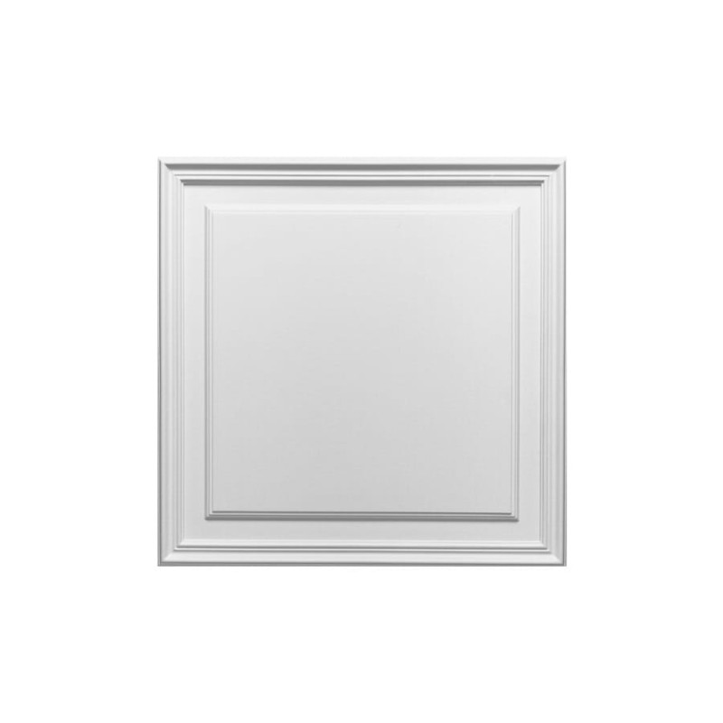 Panel drzwiowy ścienny D503 Orac Decor