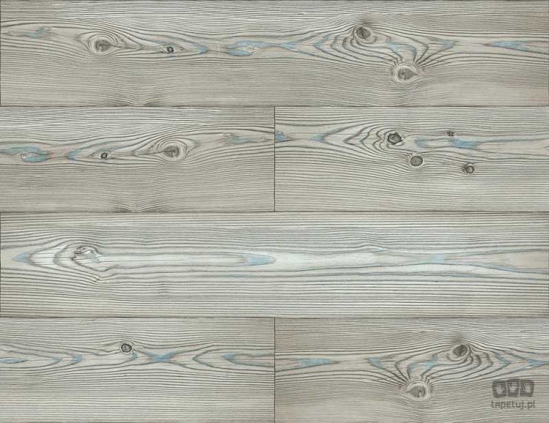 Woodlands JB21704 tapeta ścienna Wallquest